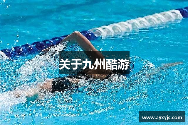 关于九州酷游